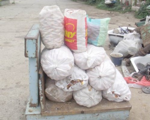 Ştefan Bănică a furat 300 kilograme de caise